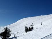 Challenging slopes at Skihytta
