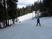 Easy forest run