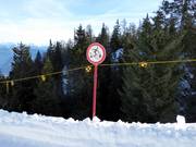 Forest areas must not be entered.