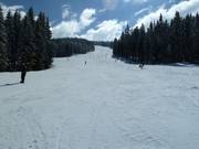 Descent at the Roter 8er
