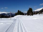 Weitental Trail