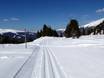 Cross-country skiing Styria (Steiermark) – Cross-country skiing Turracher Höhe