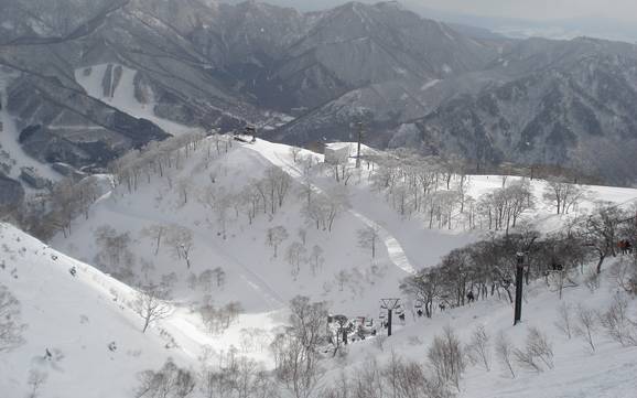 Skiing in Naeba Ski Resort
