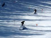 Fernie Rail Park