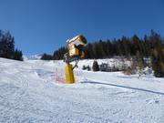 Snow cannon in the Ladurns ski resort