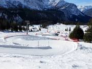 Funslope on the Ehrwalder Alm