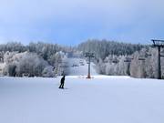 Piste Pánská