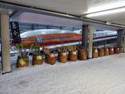 Wide selection of ski poles in the De Uithof ski hall
