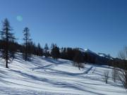 Freshly groomed high-altitude cross-country trail