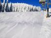 Slope preparation Thompson Okanagan – Slope preparation Sun Peaks