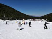 Easy slope at the Panica B platter lift at Bunderishka Polyana