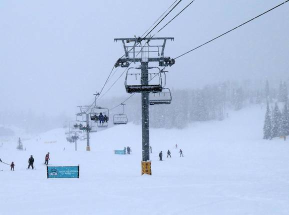High Meadow Express