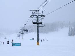 High Meadow Express