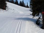 Trail in the Gaustablikk Skisenter ski area