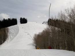 Aspen Mountain