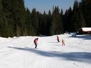 Easy family slope