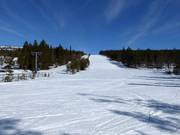 Easy slope Dalen 2 No. 15