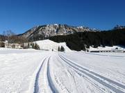 Cross-country trails in the Tannheimer Tal