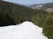 Mechi Chal slope