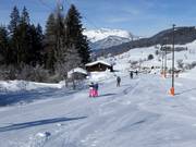 Simmerllift - T-bar