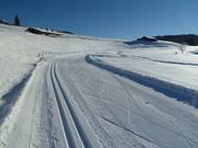 Trail on the Winklmoos-Alm