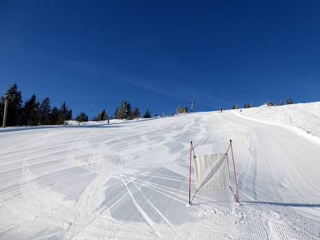 Ski resorts for advanced skiers and freeriding Regen – Advanced skiers, freeriders Arber