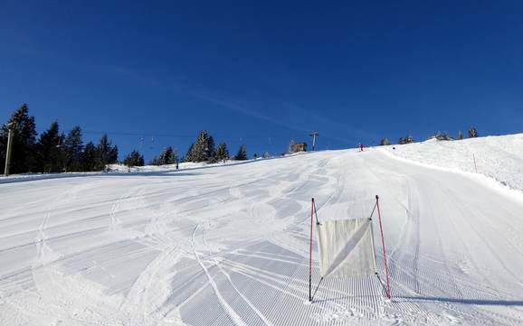 Ski resorts for advanced skiers and freeriding Zwieseler Winkel – Advanced skiers, freeriders Arber