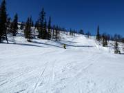 Slope No. 9