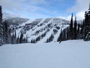 View of Silver King and Raven