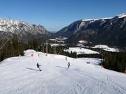 FIS downhill