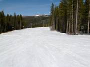 Porcupine Run