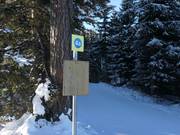 Slope marking