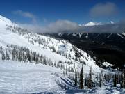 View into the Cedar Bowl