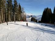 Family Slope Muttereralm