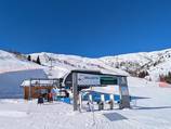 Bellasta