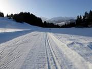 Trail in Obersaxen