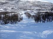 Difficult slope Maggans Fall No. 16