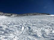 Wide powder slope at Sareiserjoch