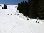 Separately operated rope lift A at Aleko (not included in the regular ski pass)