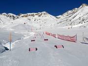 Easy course of the Swiss Ski School in Grimetz