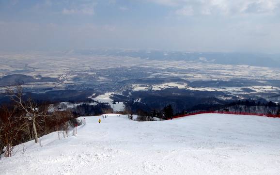 Skiing in the Prince Snow Resorts