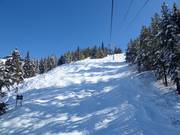 Mogul slope at Champagne Express