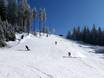 Ski resorts for advanced skiers and freeriding Ore Mountains (Krušné hory) – Advanced skiers, freeriders Plešivec – Abertamy
