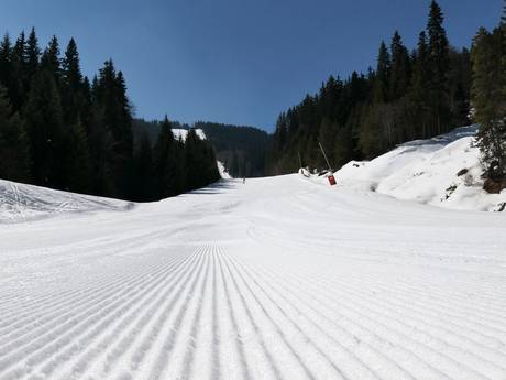 Slope preparation Smolyan – Slope preparation Pamporovo