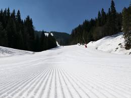 Pamporovo