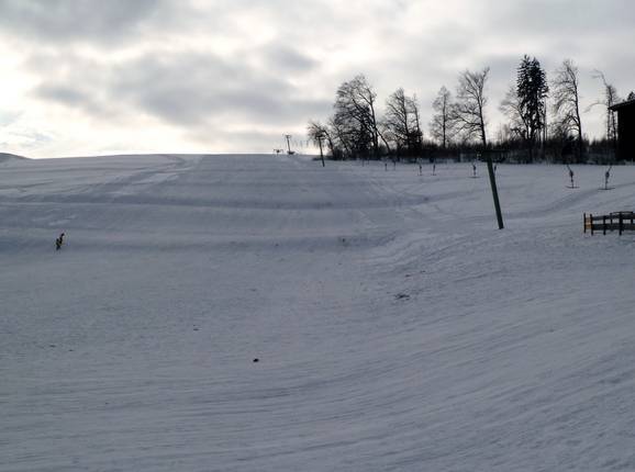 View of the Schwäbeleholzlift