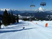 Skimovie race track
