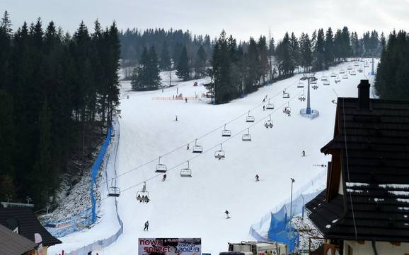 Skiing in Suche