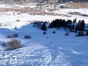 Few off-piste areas