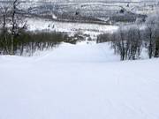 Slope No. 40 Douresbakte